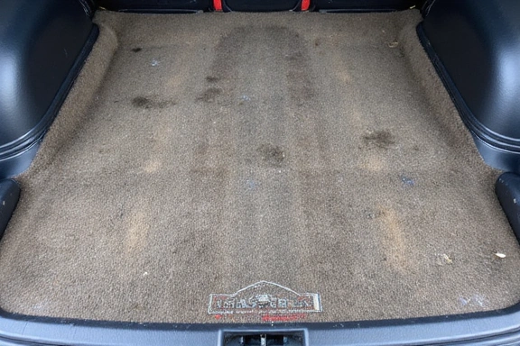 Carpet before deep cleaning